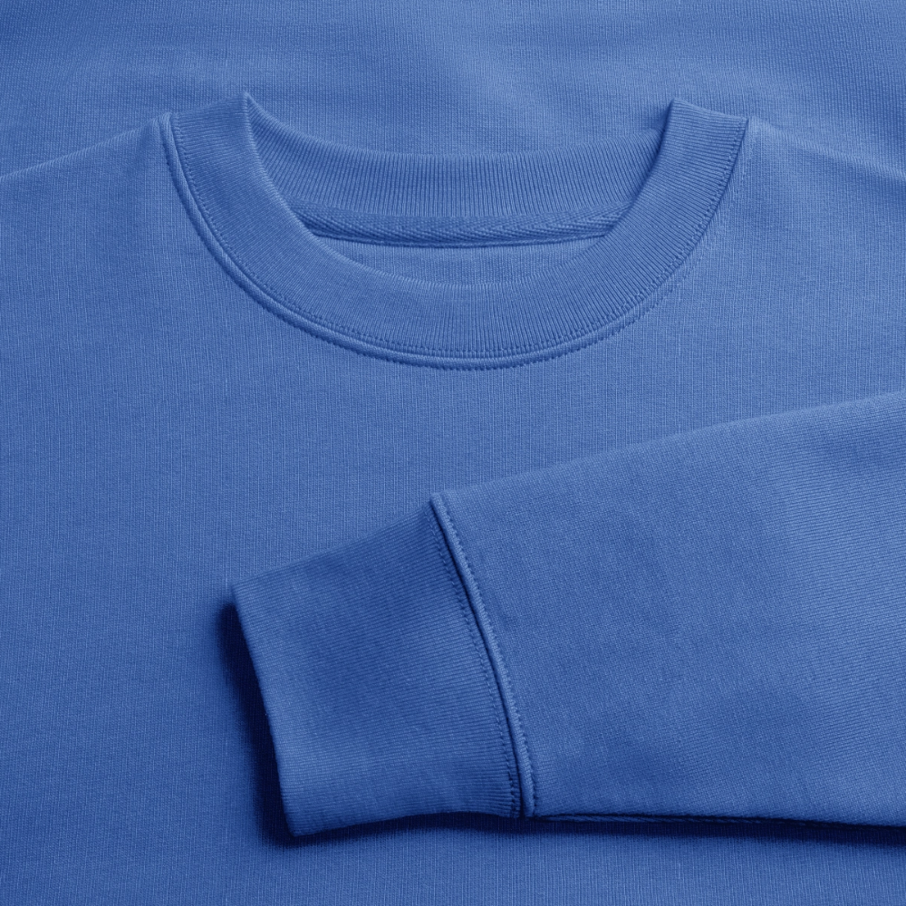 Teenager Organic Sweatshirt Mini Changer "Monade" - carolina Blue